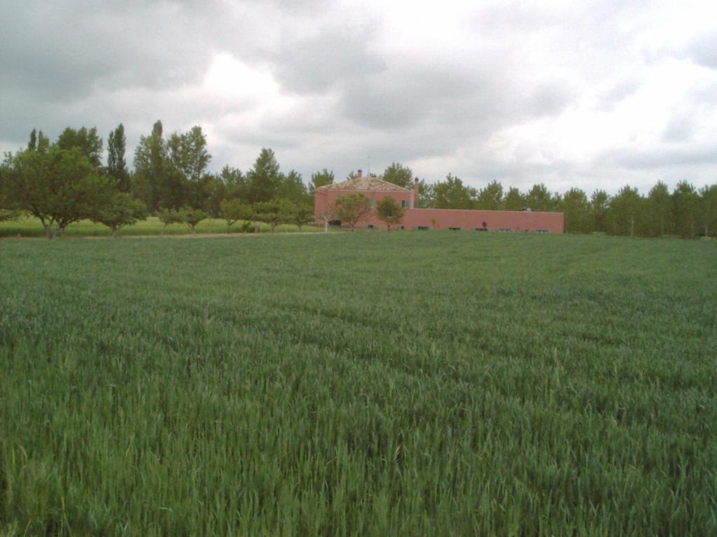 Hotel Santa Coloma Del Camino Olmillos de Sasamón Exteriér fotografie